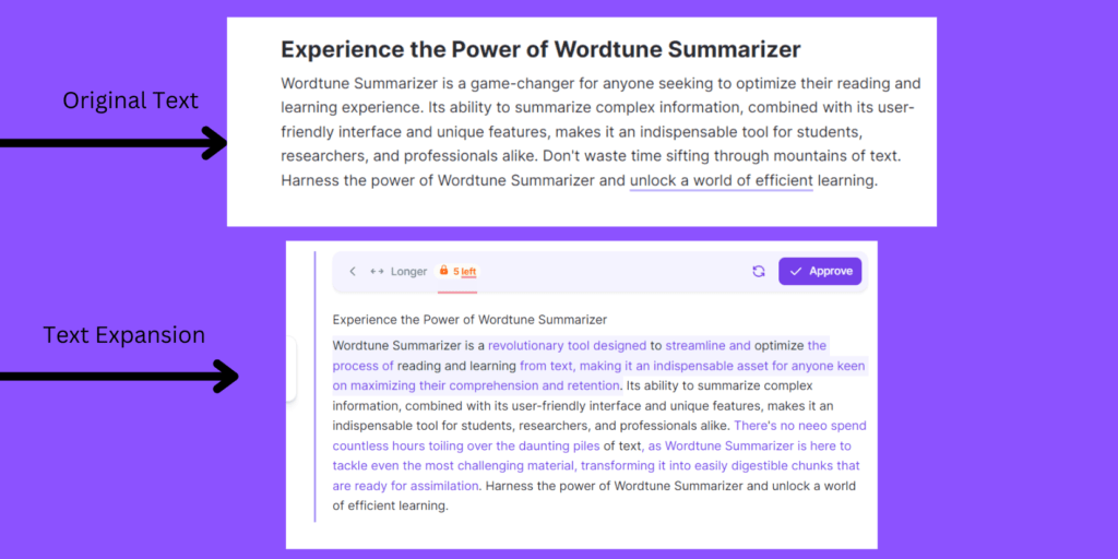 Wordtune Summarizer Expansion Example Wordtune Summarizer : A Revolutionary Reading Experience